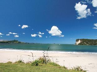 5 Pipi DuneCoromandel Peninsula