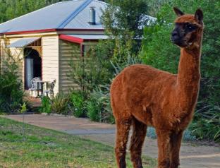 Araluen Park Cottages