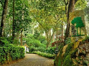 Tall Trees Munnar