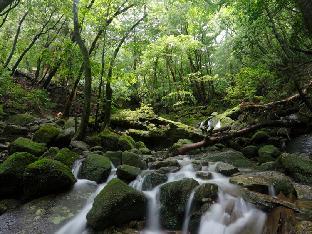 Yakushima