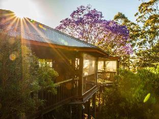 Tamborine Mountain Bed & Breakfast