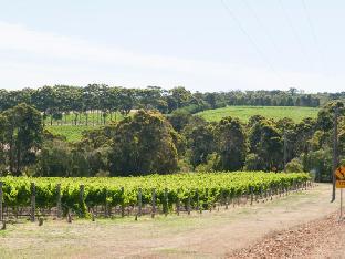 Margaret River Wine Region