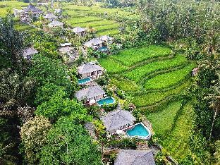 Nau villa Ubud