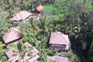 Kenderan Street, Banjar Kepitu, Kenderan Village Tegalalang