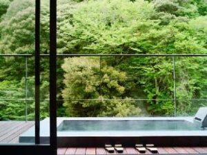 1094509_15092817300036455683 (Arcana Izu – Izu, Japan)