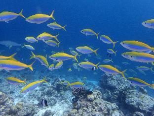 Maldives Islands