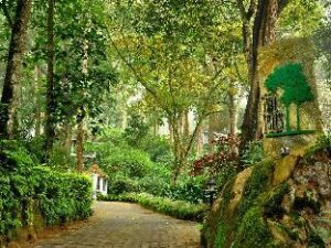 1184429_16031718050040854200 (Tall Trees Munnar – Munnar, India)