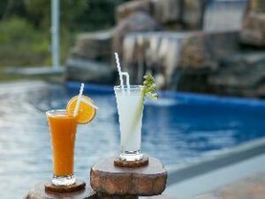 1415010_17032317240051746505 (Seerock The Kings Domain Hotel – Sigiriya, Sri Lanka)