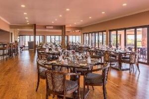 1781673_17011322230050312975 (Intle Game Lodge – Thornhill, South Africa)