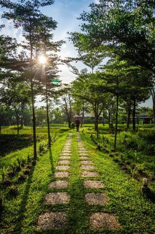 Ban Phaphinnoy, Muang Champasak