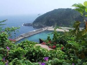 293829_111219150929441 (Gardenvilla Shirahama Resort Hotel – Izu, Japan)
