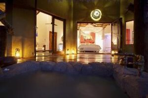 336010_17100714500057431826 (Pondoro Game Lodge – All Inclusive – Hoedspruit, South Africa)
