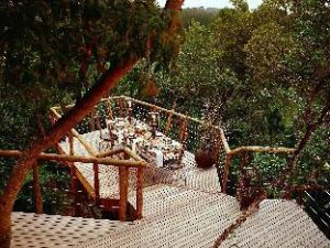 336030_14101617020022780974 (Tsala Treetop Lodge – Plettenberg Bay, South Africa)