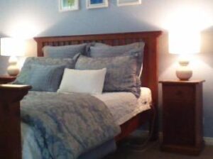 400169_14061910300019921207 (Blue Thistle Cottages – Te Anau, New Zealand)
