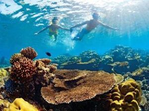 41481_15091117050035914285 (Kanuhura Maldives – Maldives Islands, Maldives)
