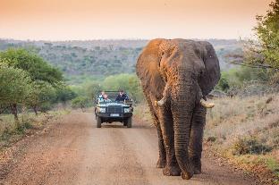 Leopard Mountain Safari Lodge