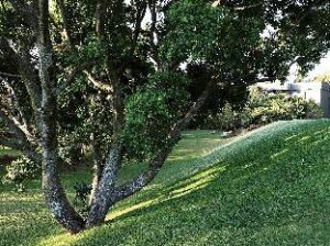 443869_15082411420034897822 (Saxon Hotel Villas and Spa – Johannesburg, South Africa)