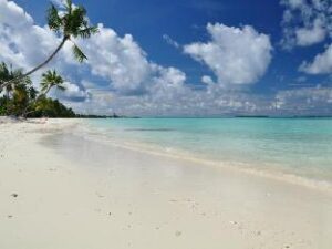 462983_15061718180029824558 (Charming Holiday Lodge – Maldives Islands, Maldives)