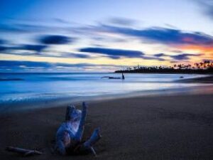 488989_15043011040027186246 (Maui Palms Private Villas – Coral Coast, Fiji)
