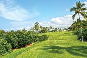 502e86a3f8b05a3c5ee5c84e49b29e1f (Holua Resort at Mauna Loa Village – Kahaluu-Keauhou (HI), United States)