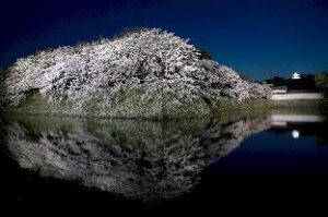 5161304_18062510490066410299 (Hikone Castle Resort & Spa – Hikone, Japan)