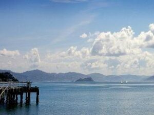 535608_15062210400030169236 (Beachfront Wellington Bed and Breakfast – Wellington, New Zealand)