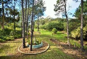 5480181_18072620010067131352 (Houtkapperspoort Country Cottages – Cape Town, South Africa)