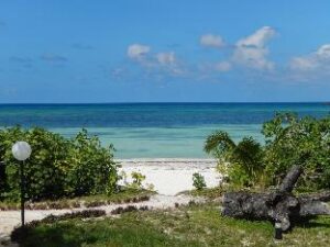 572420_14031417030018705945 (Cote d’Or Footprints Chalets – Seychelles Islands, Seychelles)