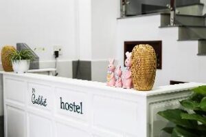 6568773cd4d8816d3625a1bebbde7395 (Rabbit Hostel Can Tho – Can Tho, Vietnam)