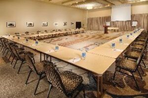679df38a284b4cdd64017c55a9cd829e (Drury Plaza Hotel Broadview Wichita – Wichita (KS), United States)