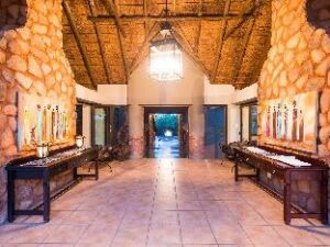 6a9324c849dfeba11cd8b4a5da84d50d (Ivory Tree Game Lodge – Pilanesberg, South Africa)