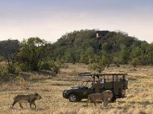 73759_16011515380039169098 (Tshukudu Bush Lodge – Pilanesberg, South Africa)