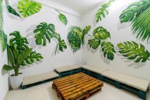 8553807_19070811240077948267 (F5 Homestay – Da Nang, Vietnam)