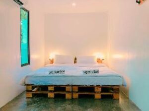 8651906_19071515300078120718 (Pig Dive Hostel Moalboal – Cebu, Philippines)