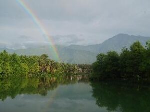 914255_16042505330041759959 (Villa of Permaculture – Hualien, Taiwan)