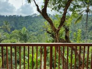 921981_16011515030039168244 (Padma Resort Ubud – Bali, Indonesia)