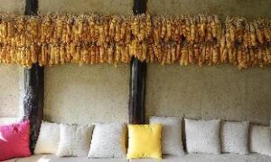 c03f6ac0b062a948f1167e26abb68e2f (Bivou Lijiang Hotel – Lijiang, China)