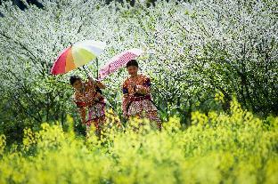 1 Hoang Lien Street Sapa District Lao Cai Province