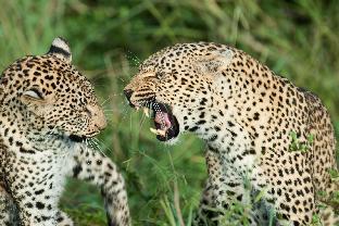 Balule Nature Reserve